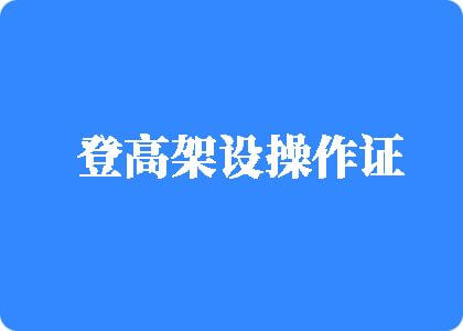 特逼骚登高架设操作证